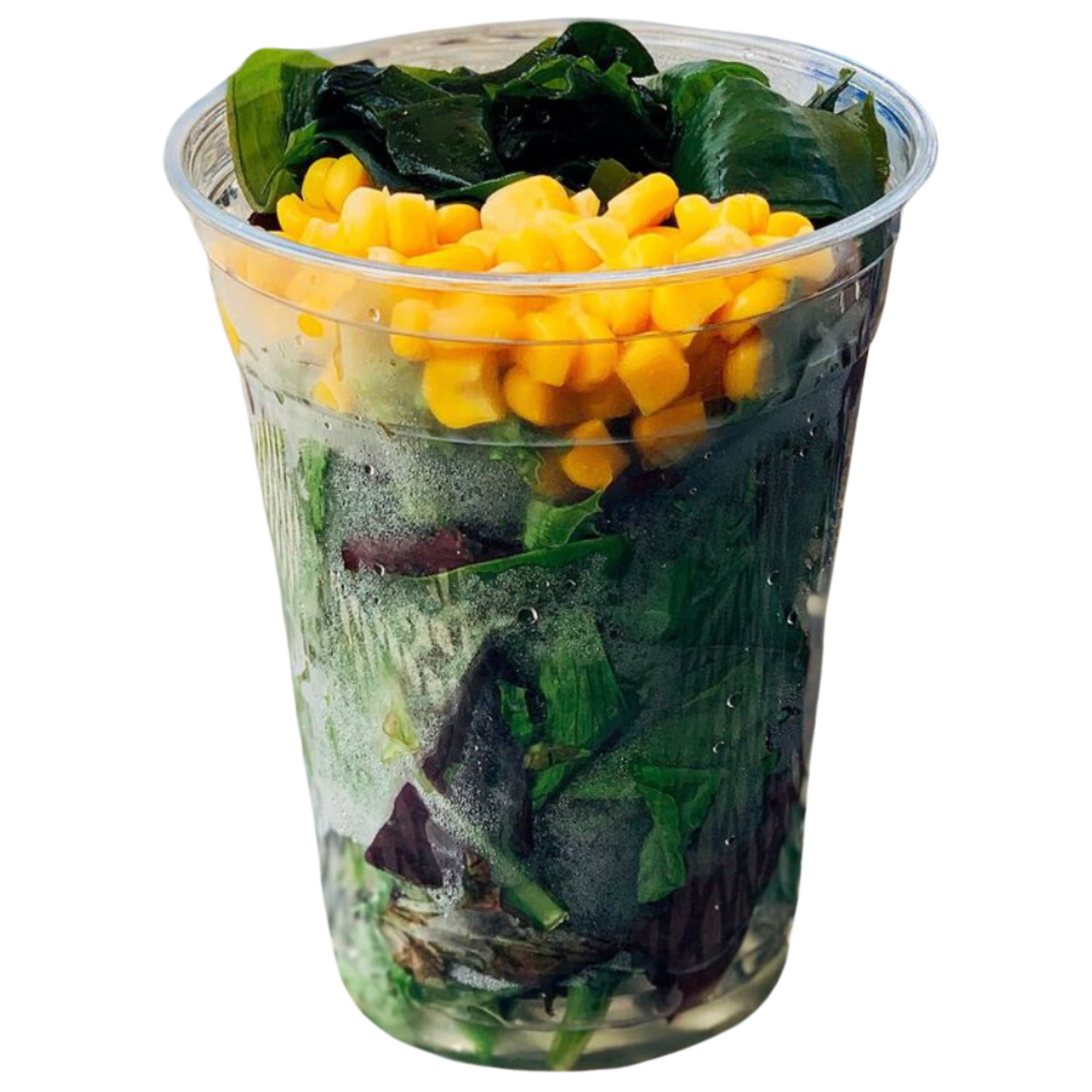 PET Cup No Lid